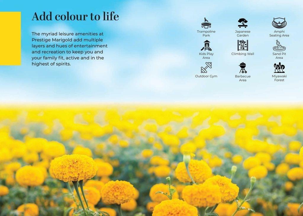 Prestige Marigold Phase2 20